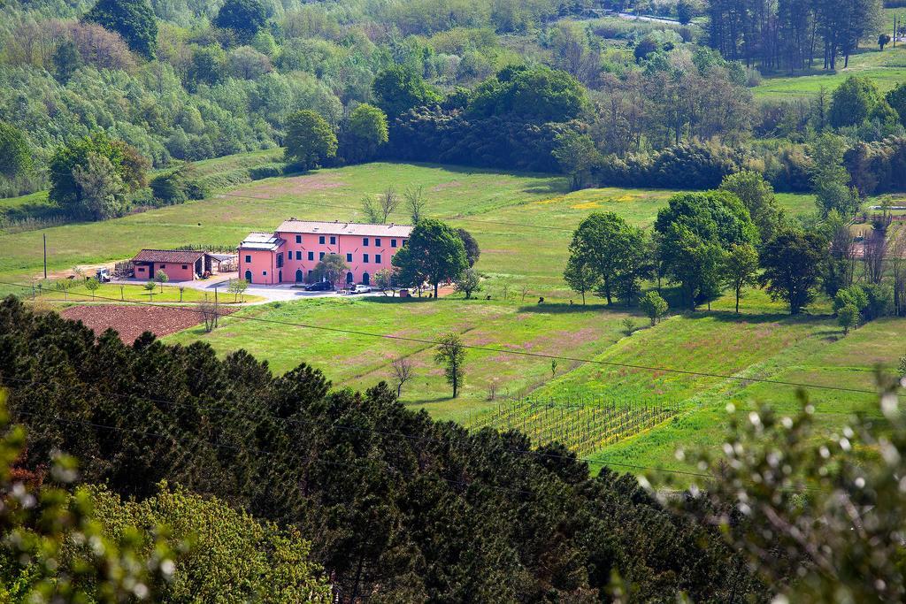 Tenuta San Giovanni ลุคคา ภายนอก รูปภาพ
